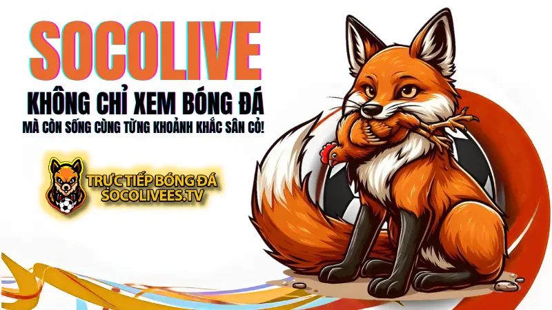 So sánh giao diện và chất lượng của Socolive với Xoilac, 90phut
